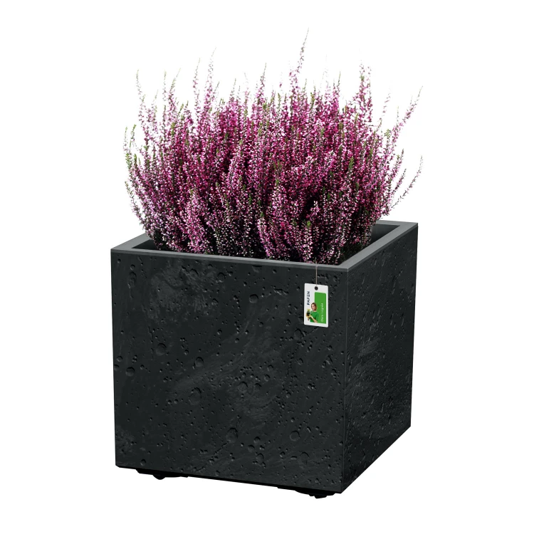 3d820bcd23de2809e3ca6fe694fc4fa2.jpg